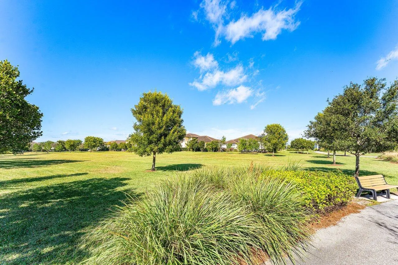 lush open green space