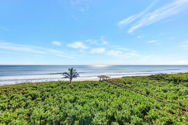 69-web-or-mls-5P1A3460