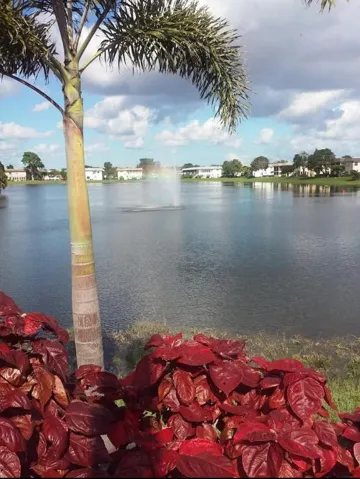 Lake