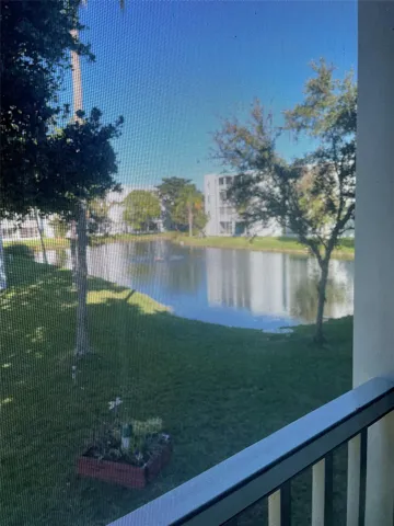 Looking through the screens on the patio