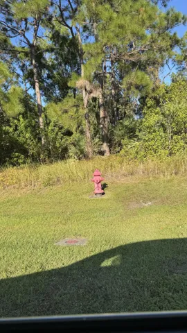 lot- red hydrant