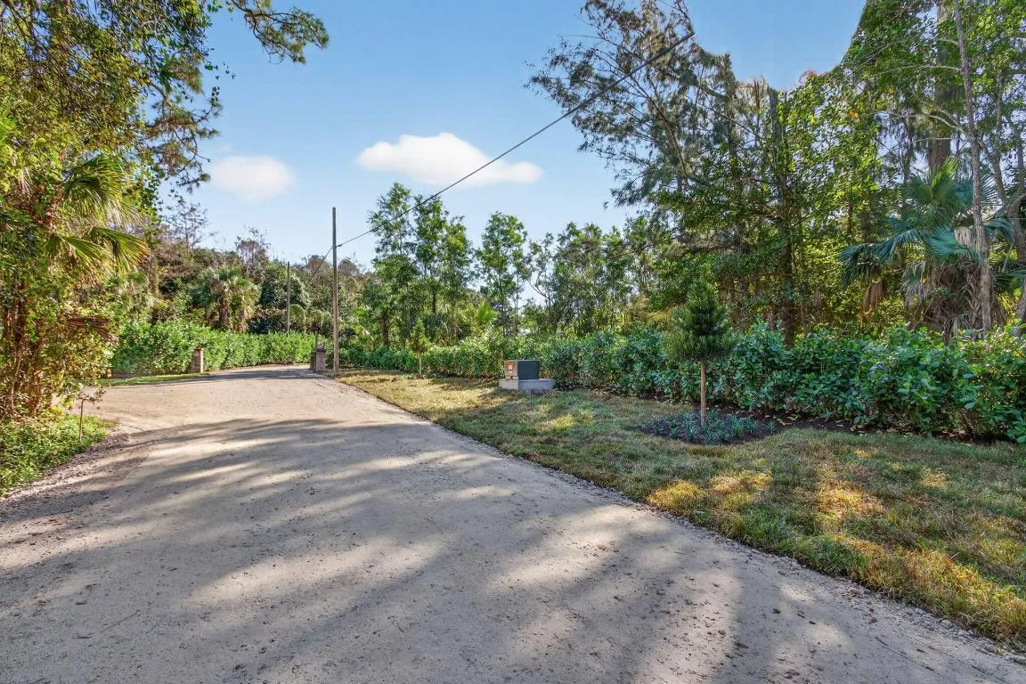 22-web-or-mls-320A2234