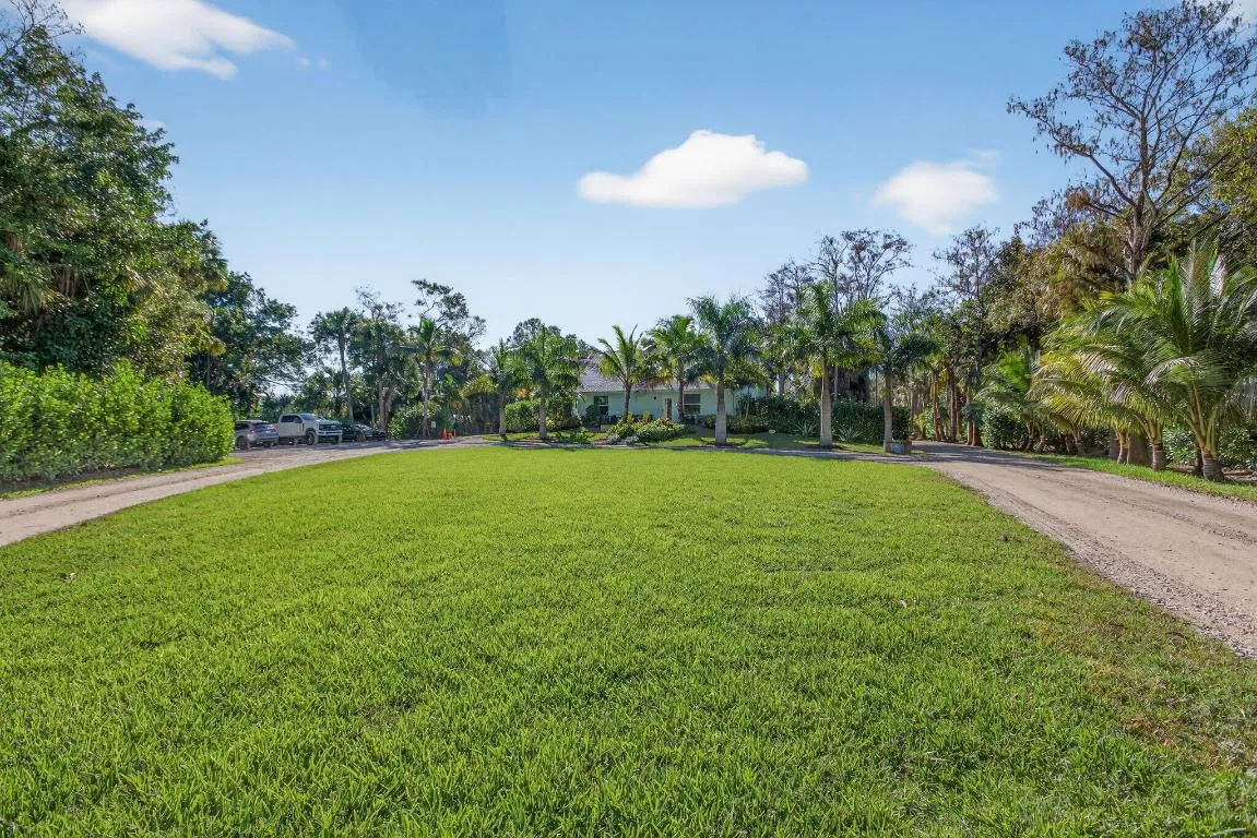 26-web-or-mls-320A2262