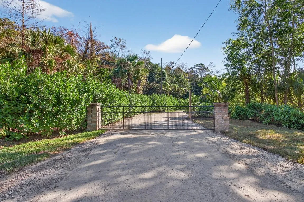 23-web-or-mls-320A2248