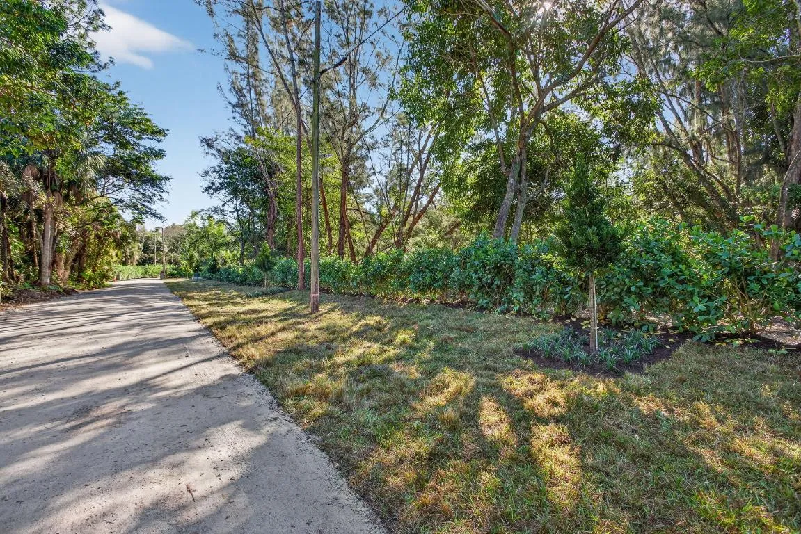 21-web-or-mls-320A2224