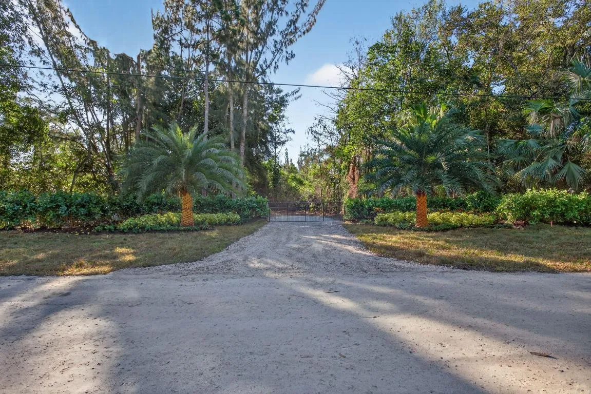 3-web-or-mls-320A2214