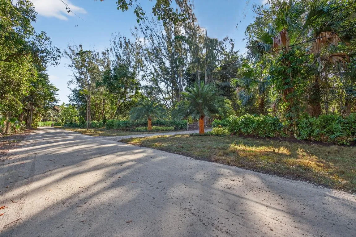 1-web-or-mls-320A2208