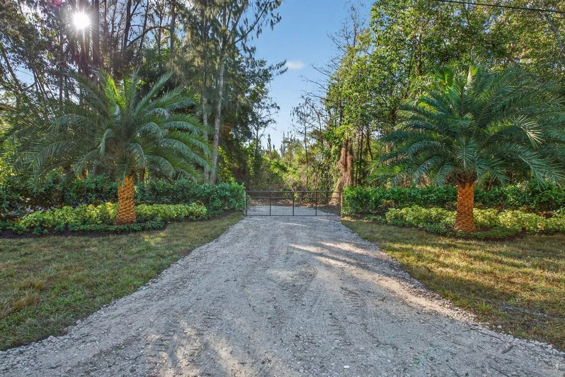 4-web-or-mls-320A2222