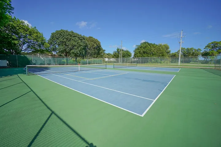 Pickleball and Tennis
