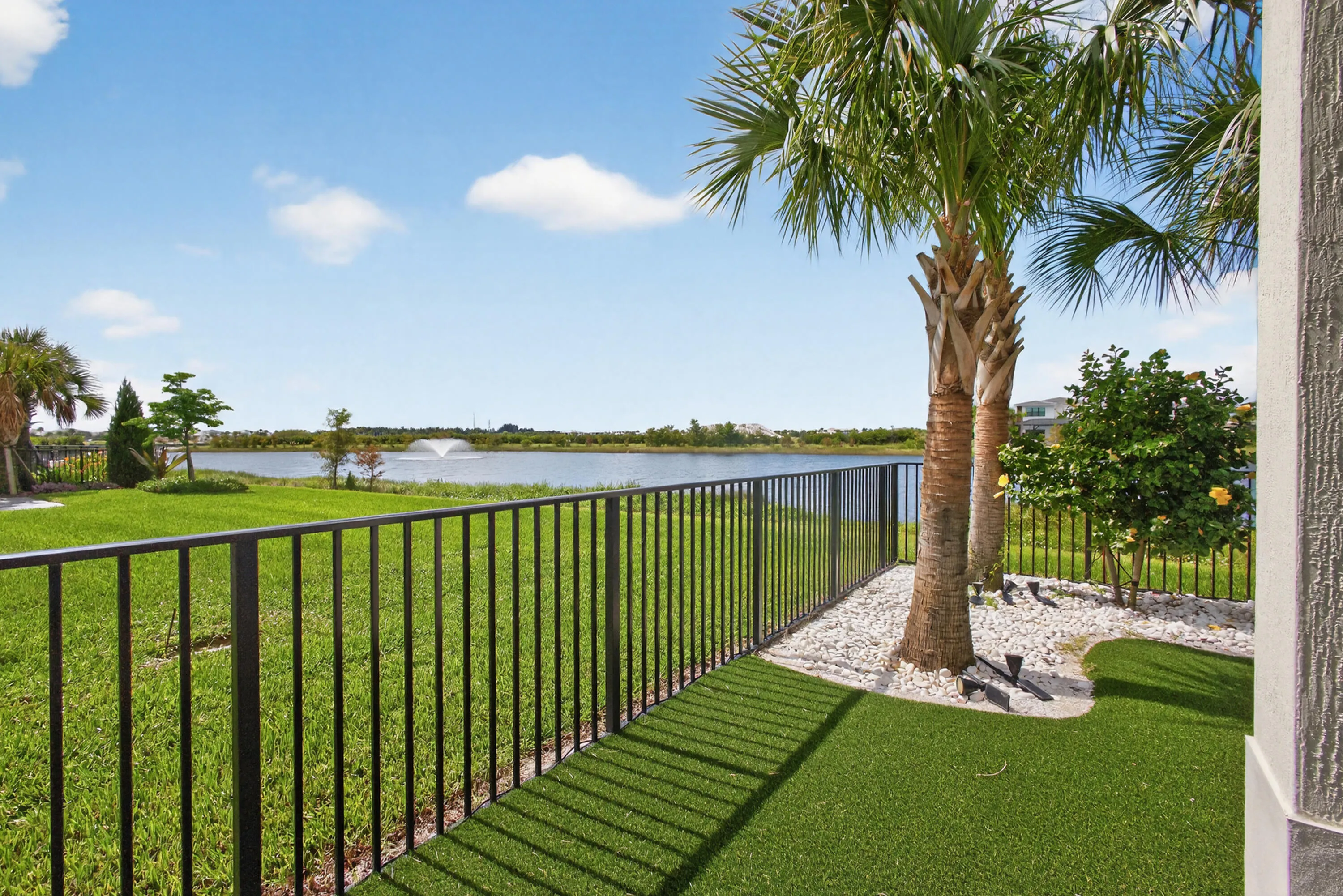 Backyard view