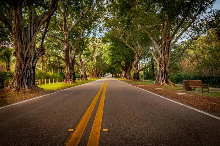 Bridge Road
