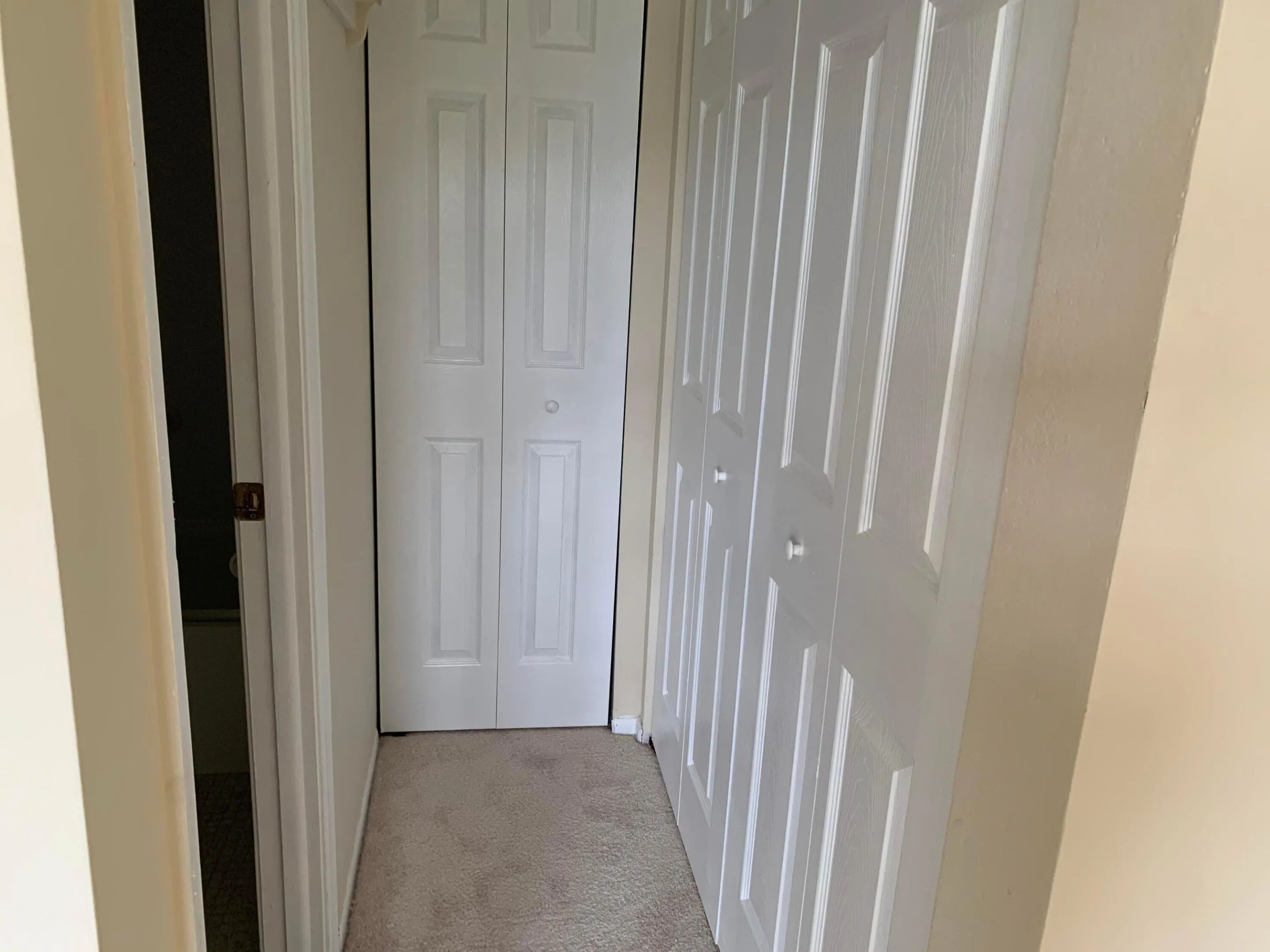 Hall Closet