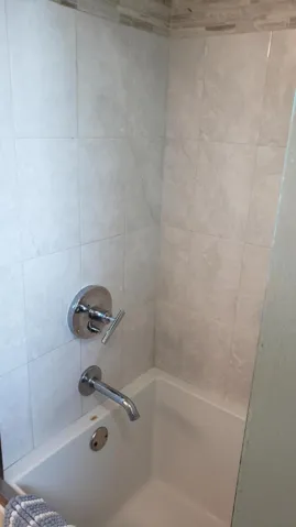 Primary Shower