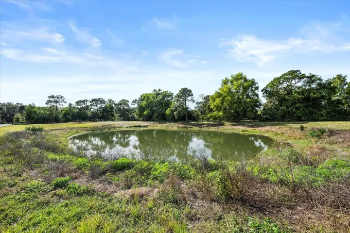 Pond