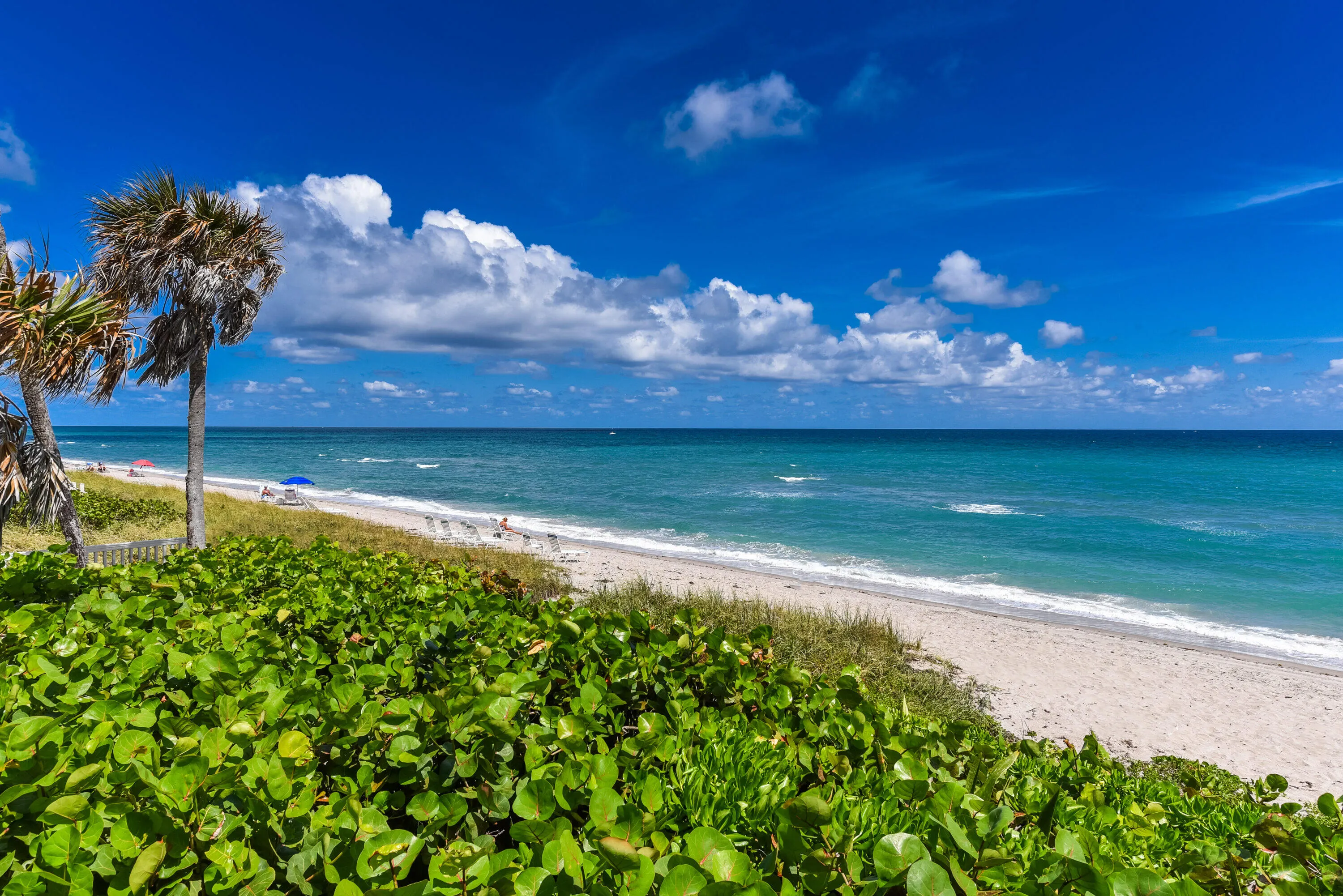 Boca Raton Lifestyle_2