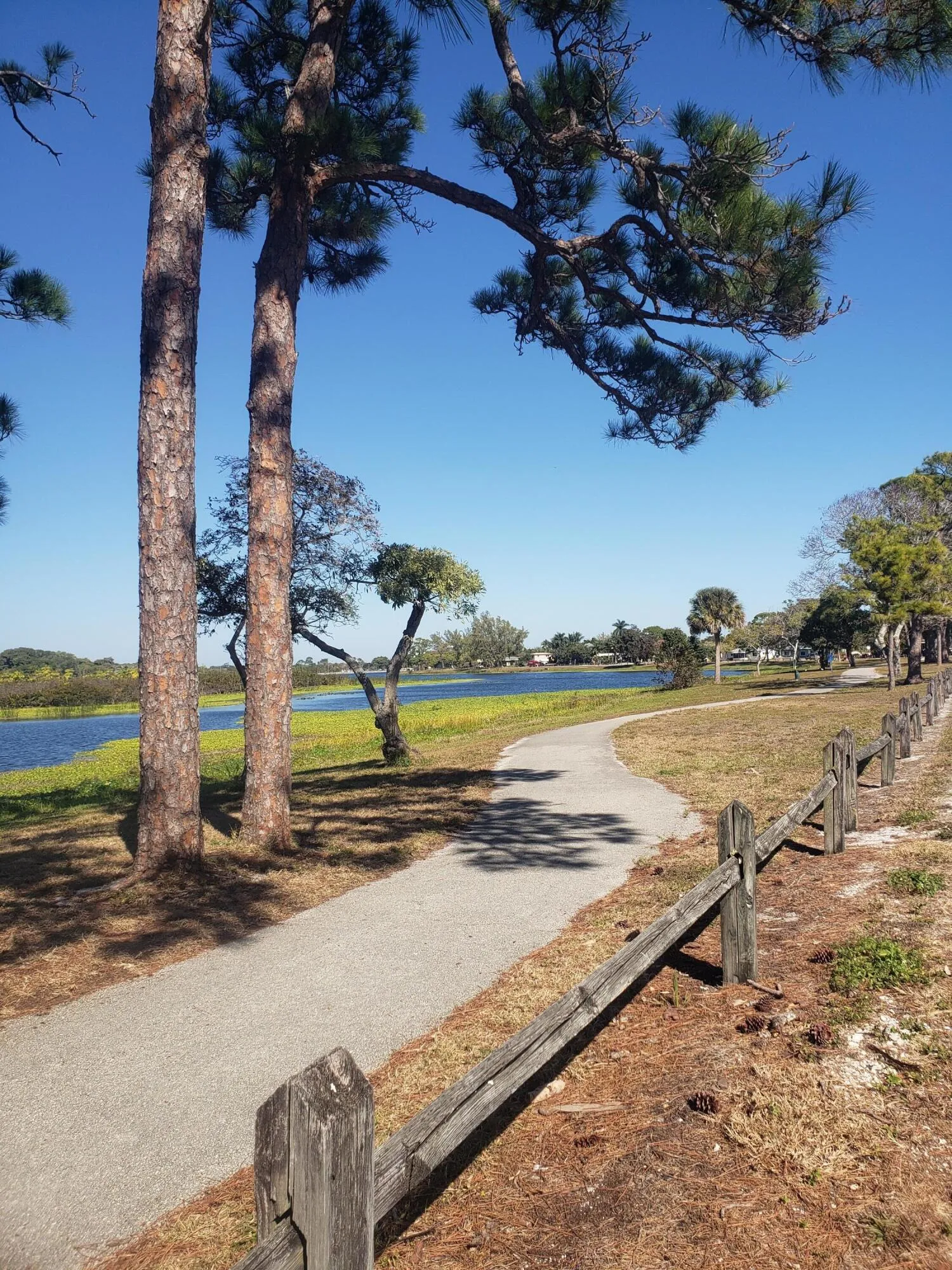 Walking Path Lake Osborne