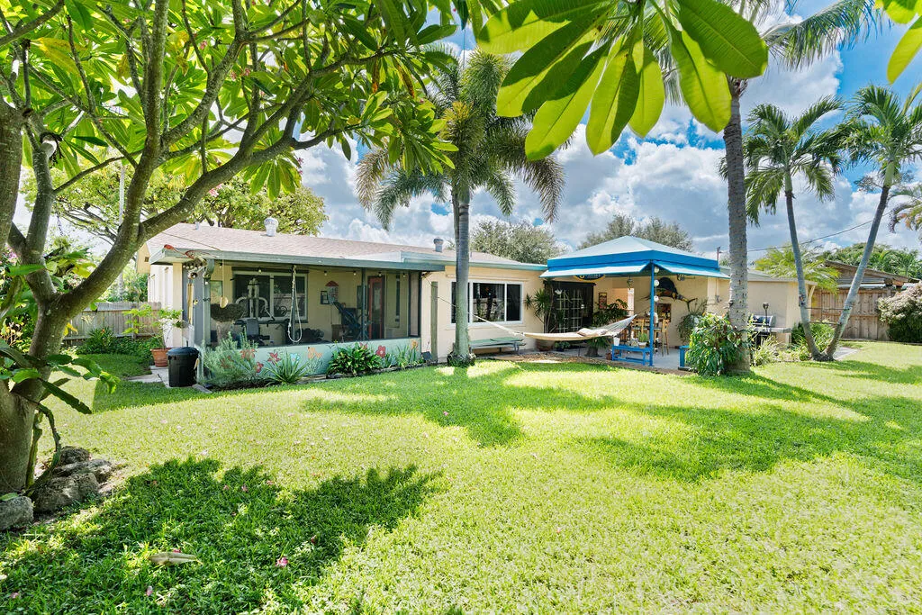 Backyard