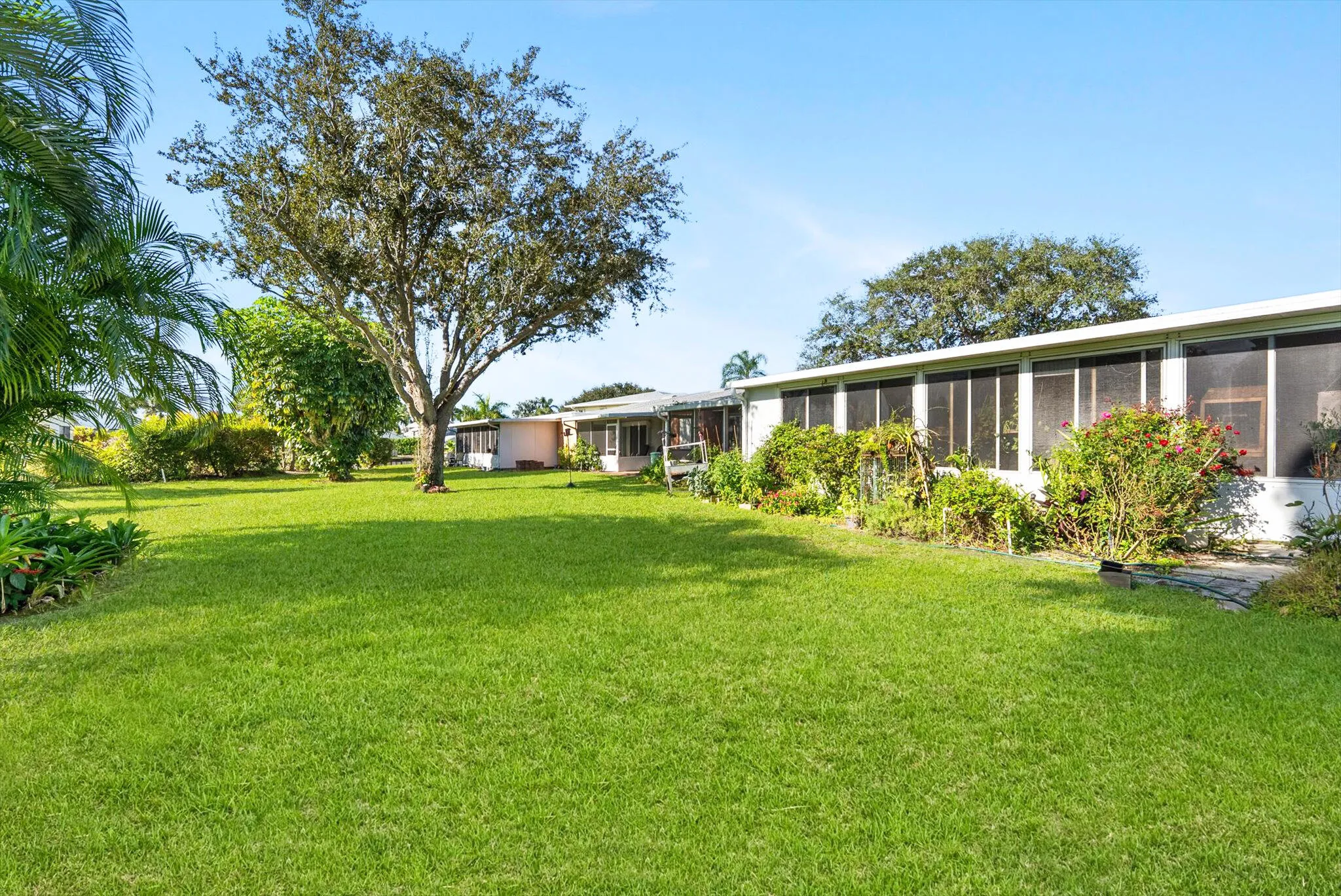 Nice open lawn space out back