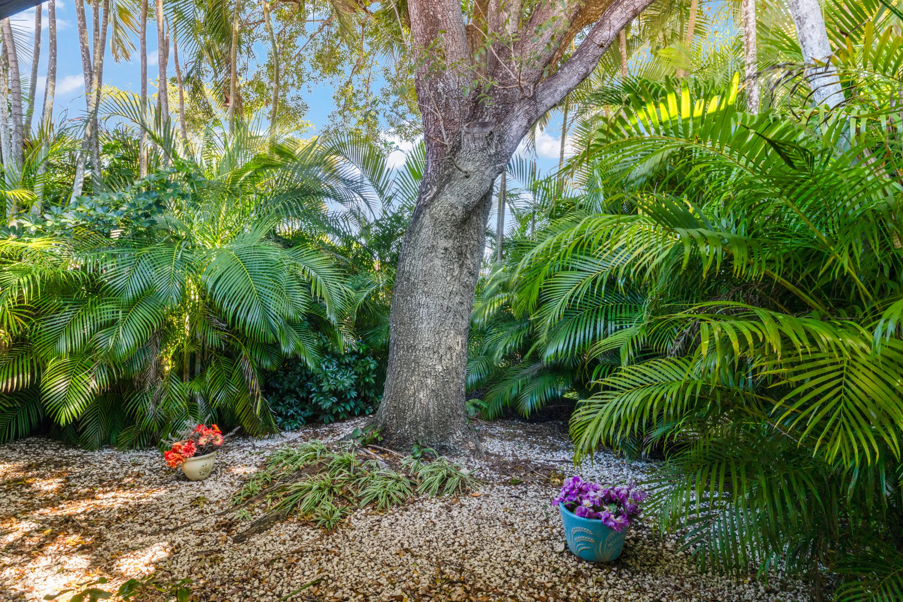 Back yard tranquility!