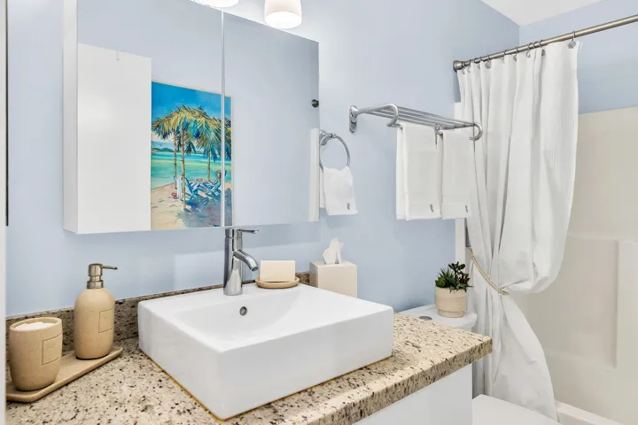 7 Guest Bathroom (1)