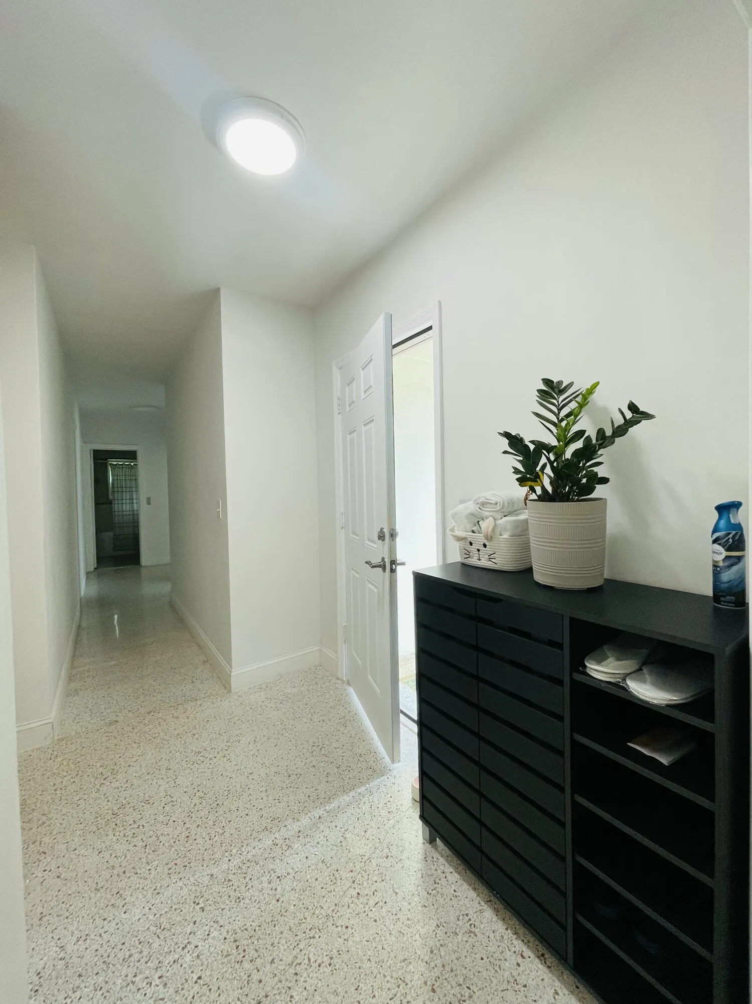 Foyer/ Front door