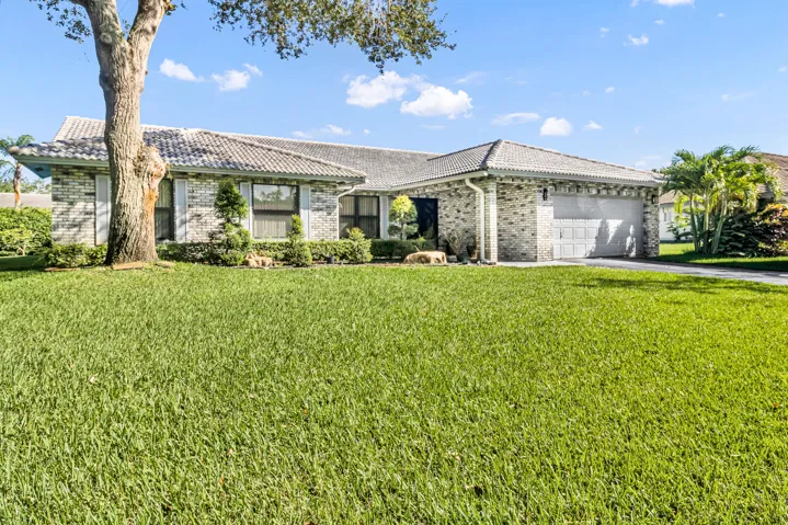 Front Yard