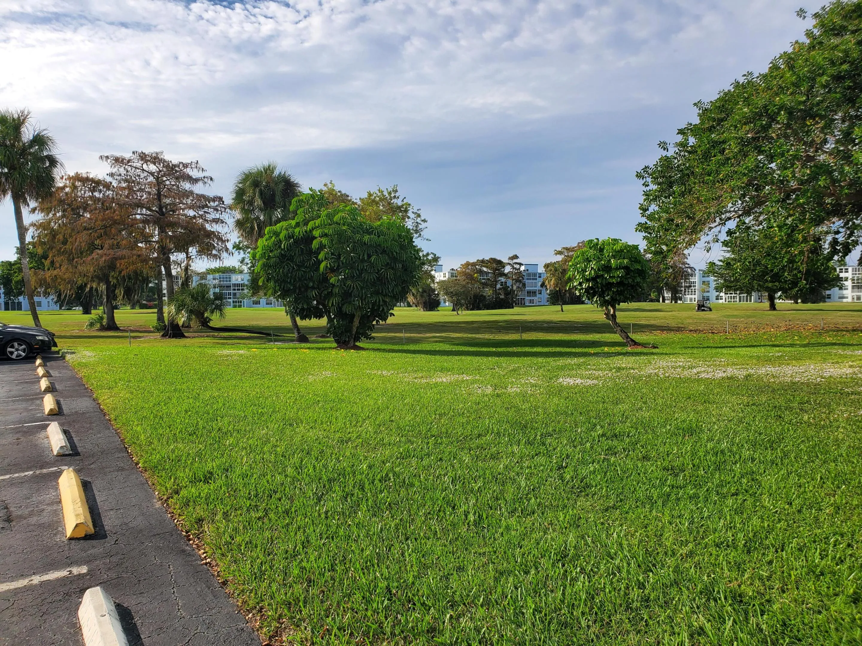 Back Golf Course (1)