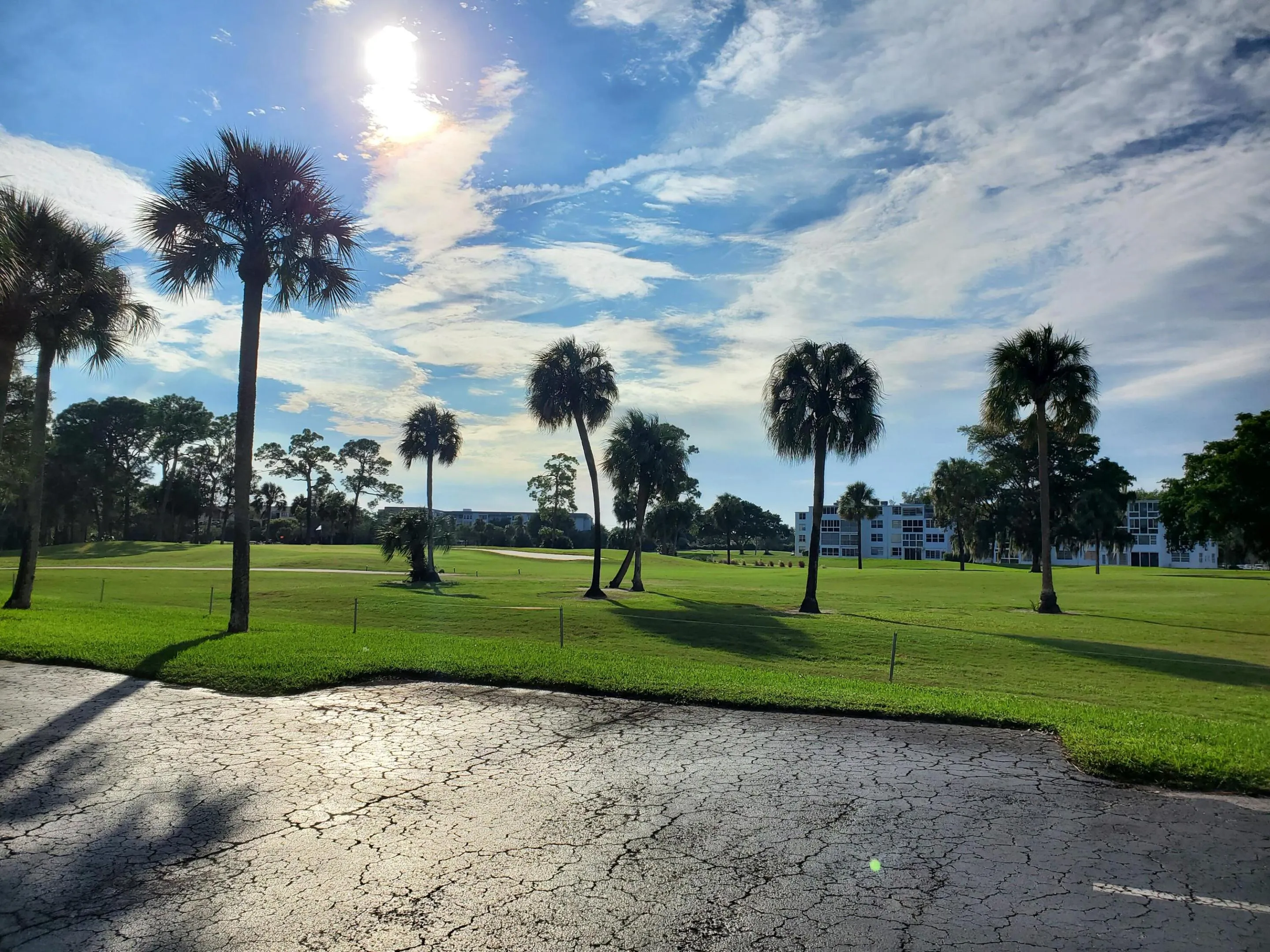Back Golf Course (2)