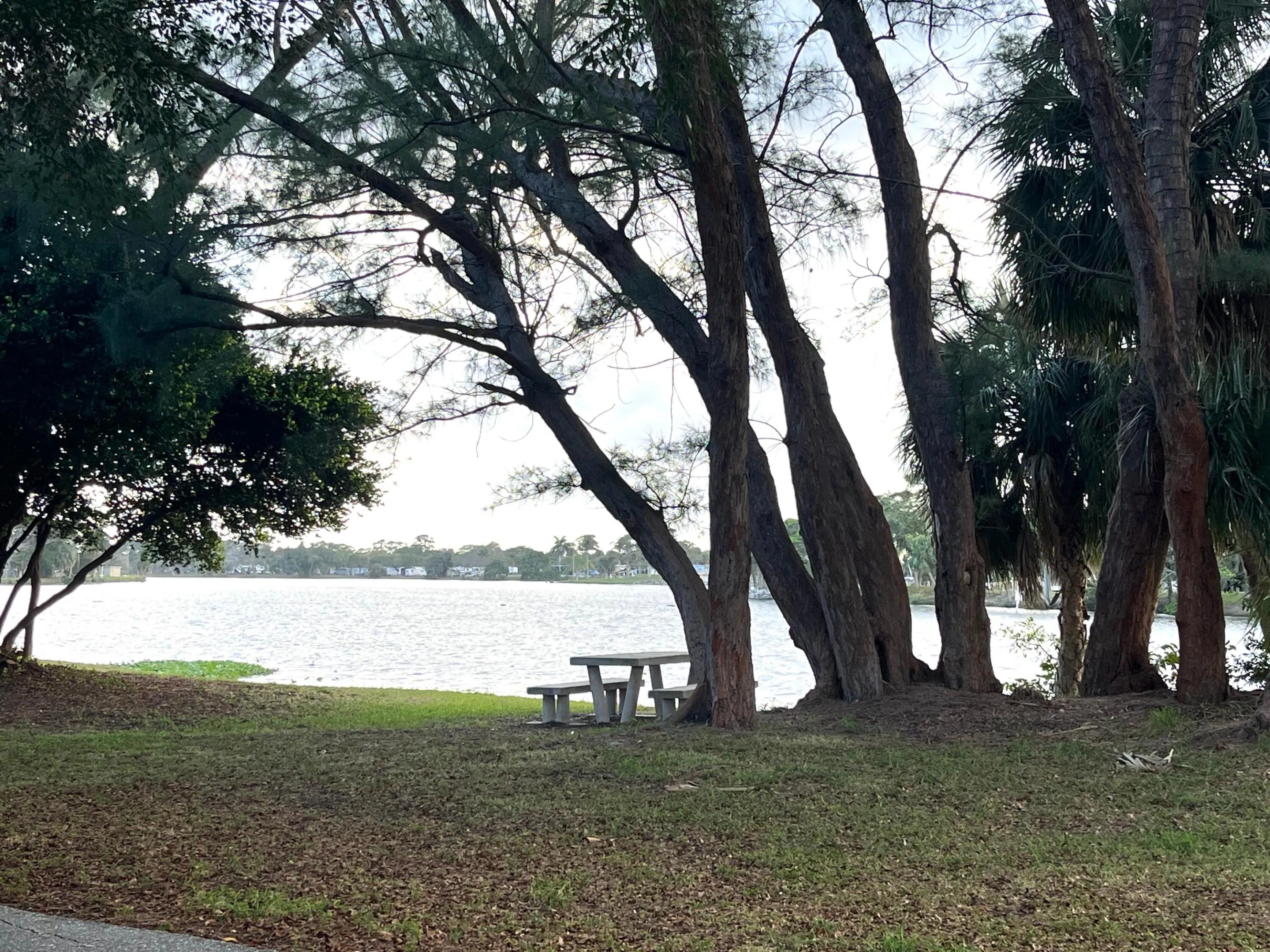 Great neighborhood - park and lake