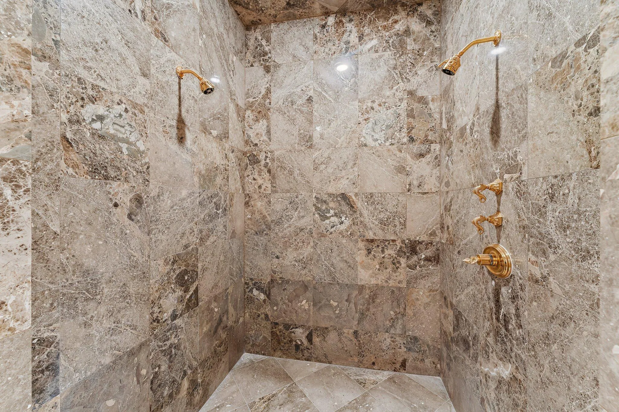 Primary Shower