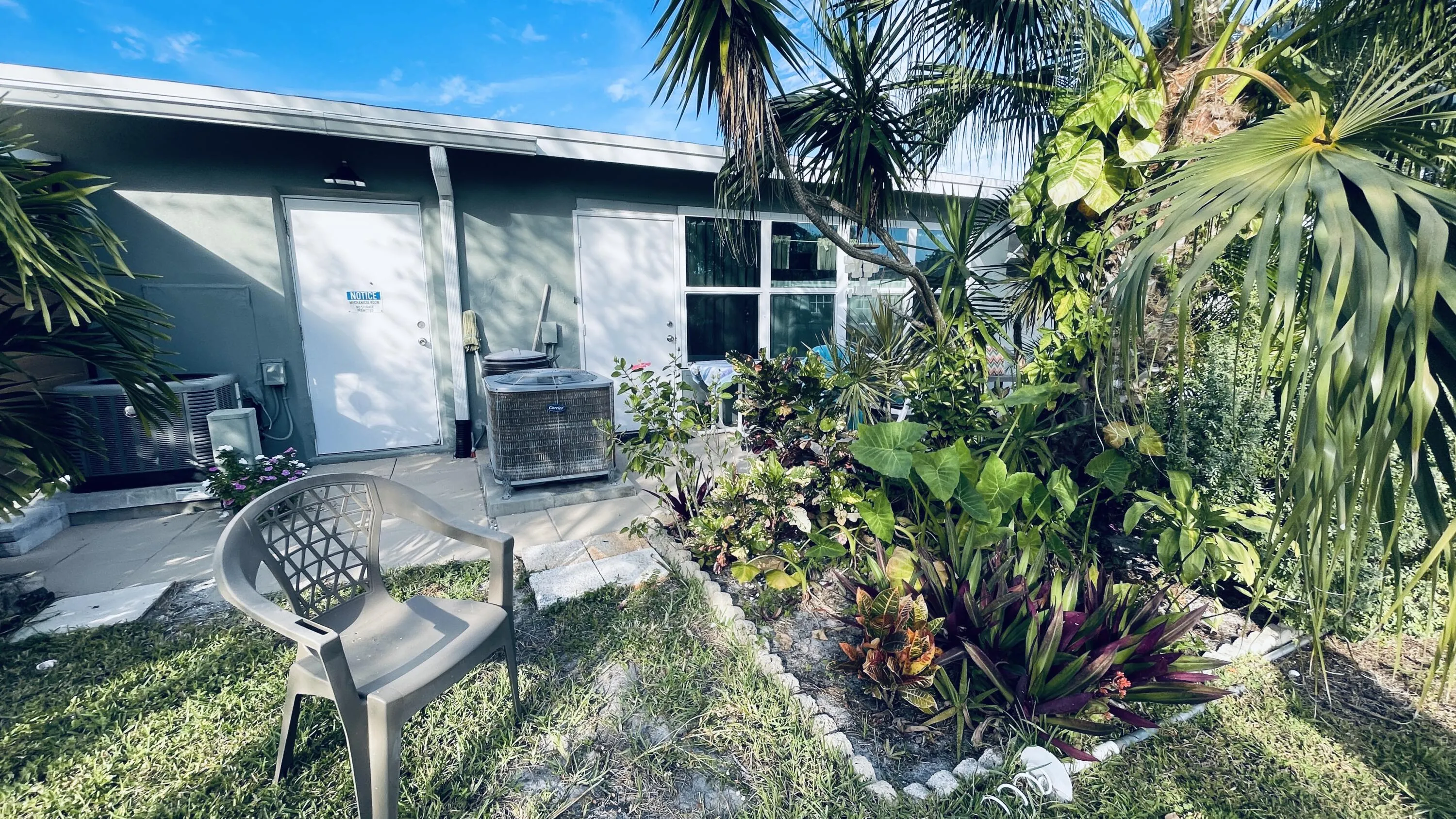 Back yard