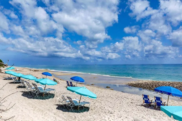 20241231145257537834000000-o