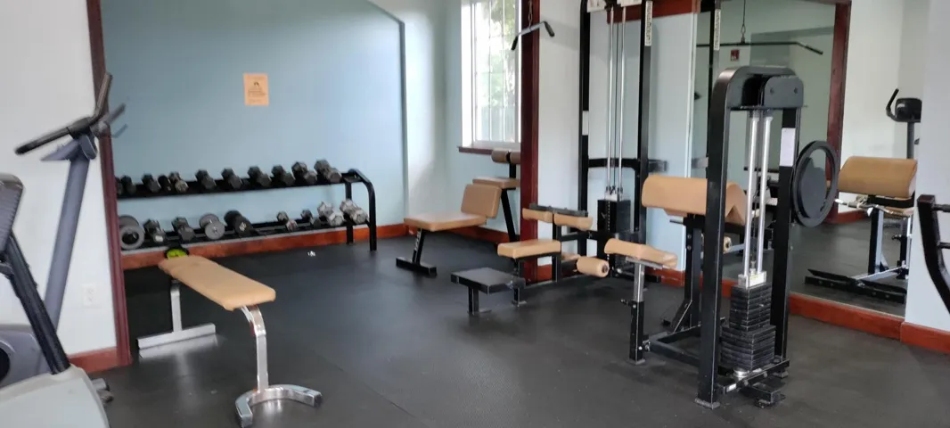 Free Weights