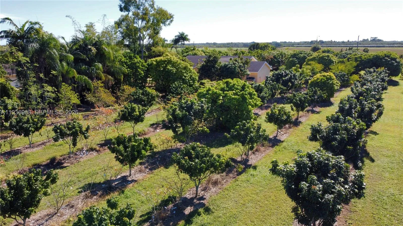 Property photo 46
