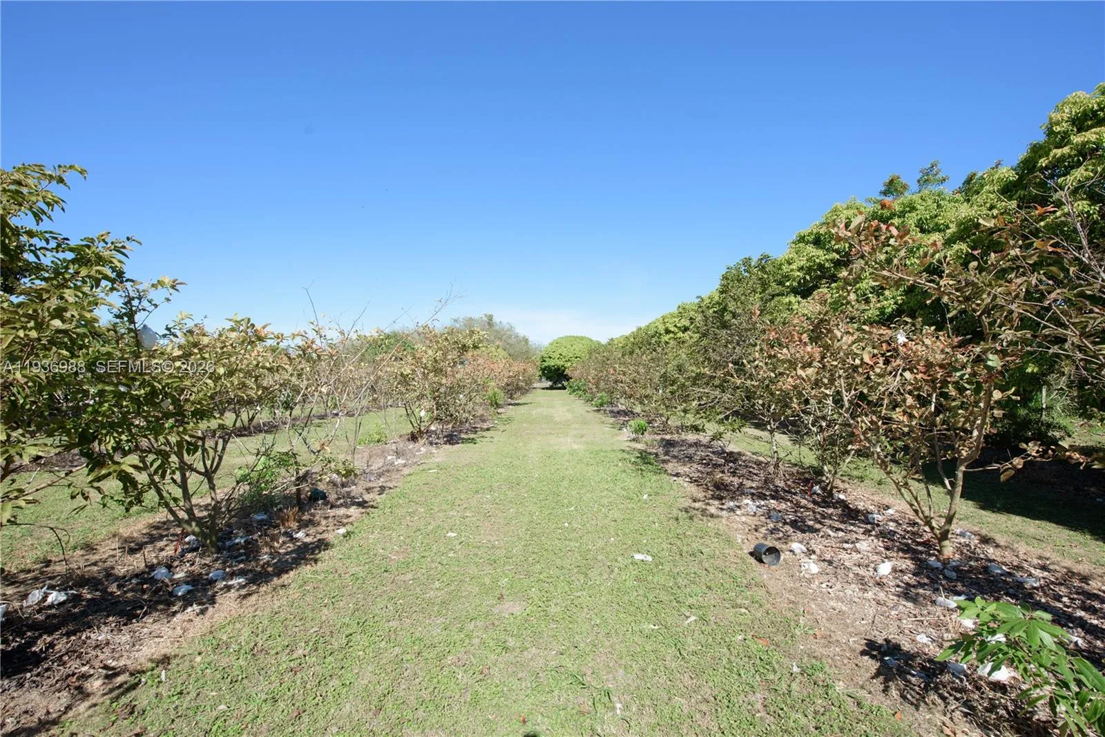 Property photo 29