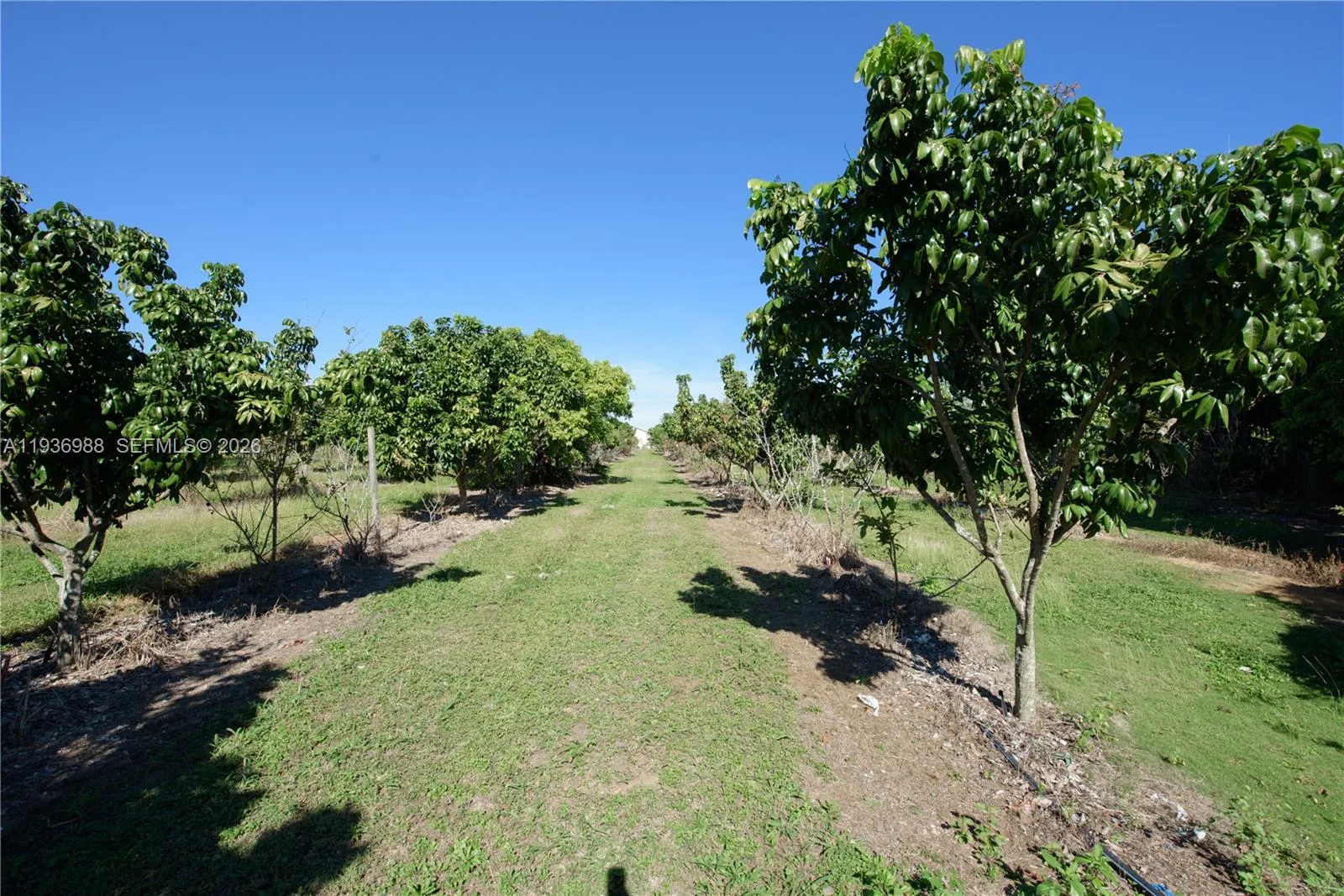 Property photo 34