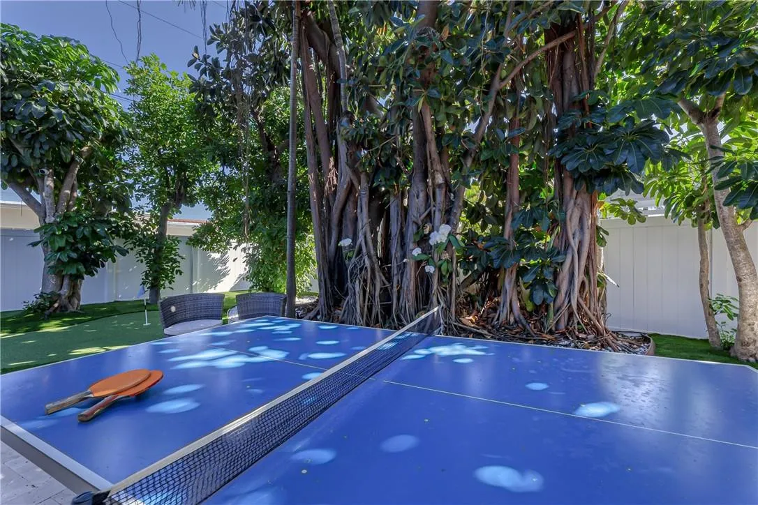 Ping Pong Anyone??
