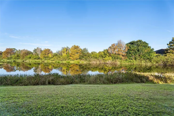RIVER VIEW
