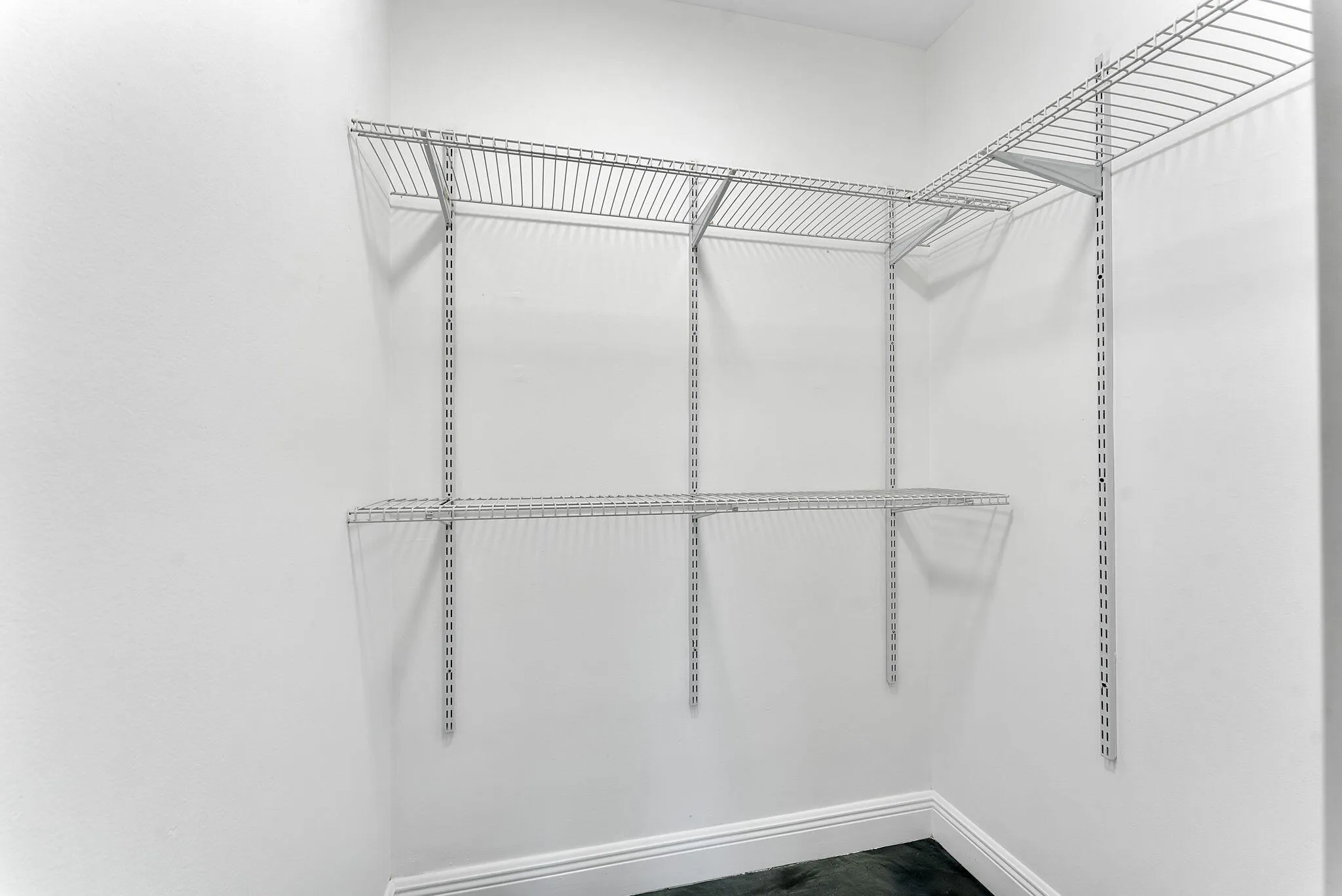 49-web-or-mls-DSC02971
