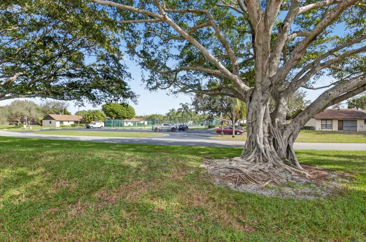 BACKYARD GREENSPACE
