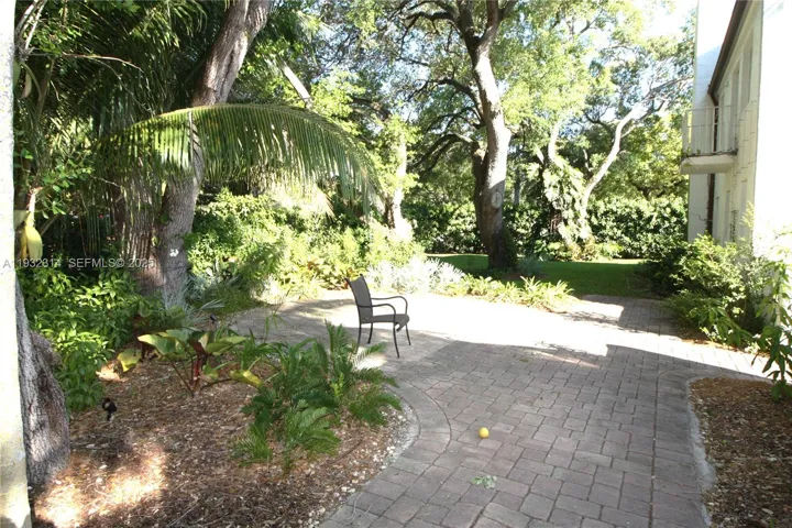 Photo 46