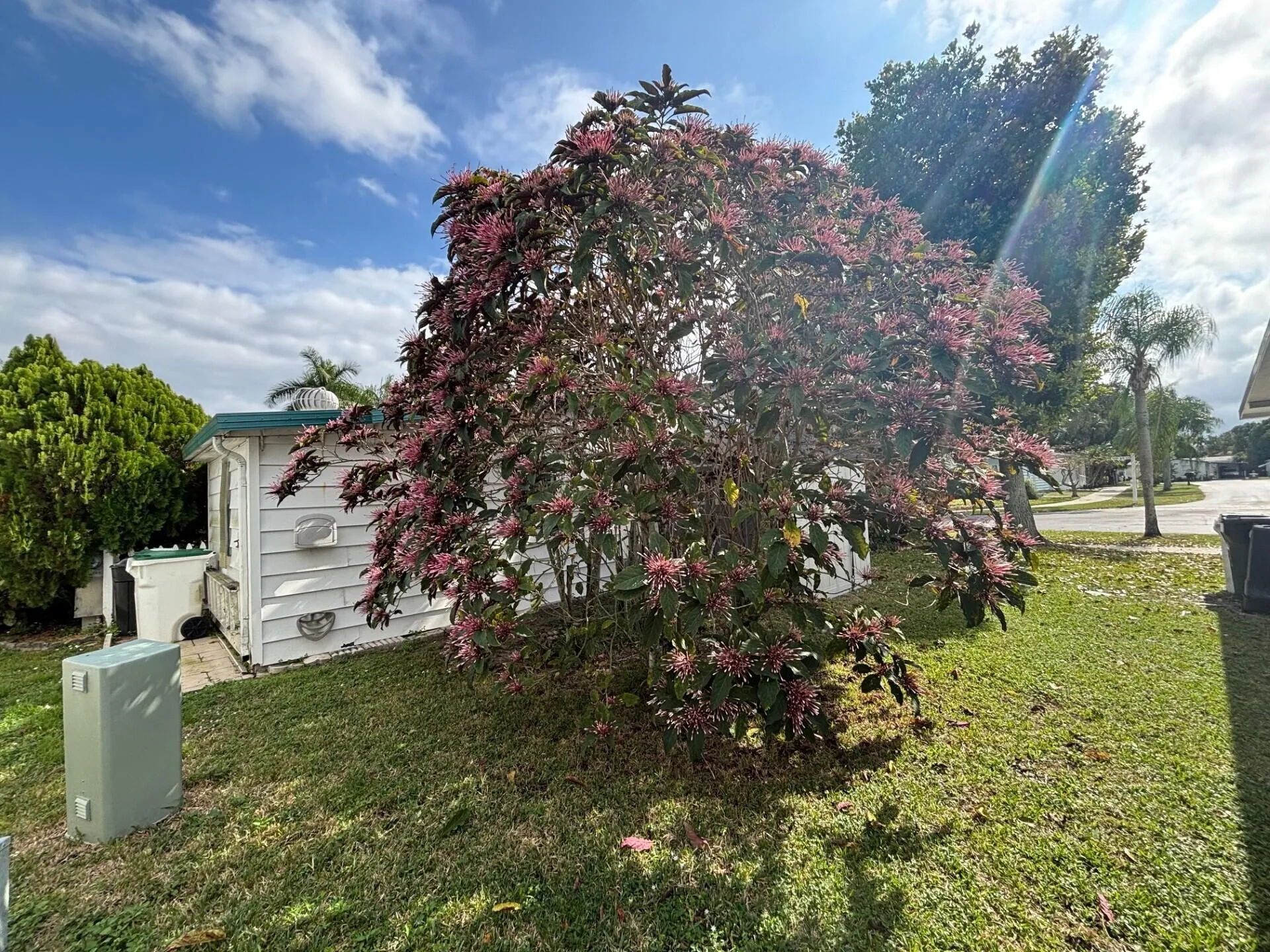 Property photo 27