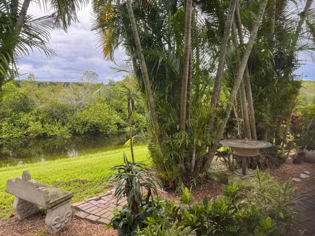 Present Day View looking to preserve
