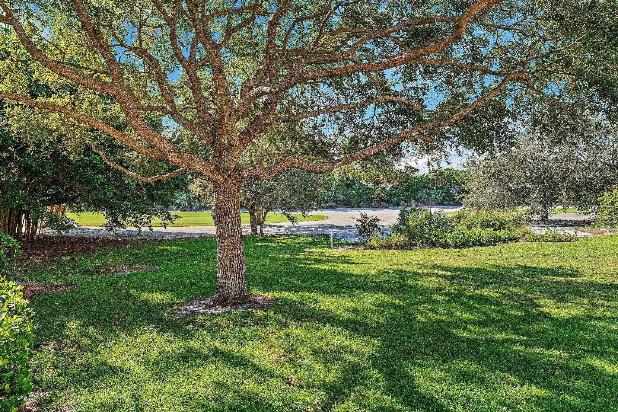Property photo 46