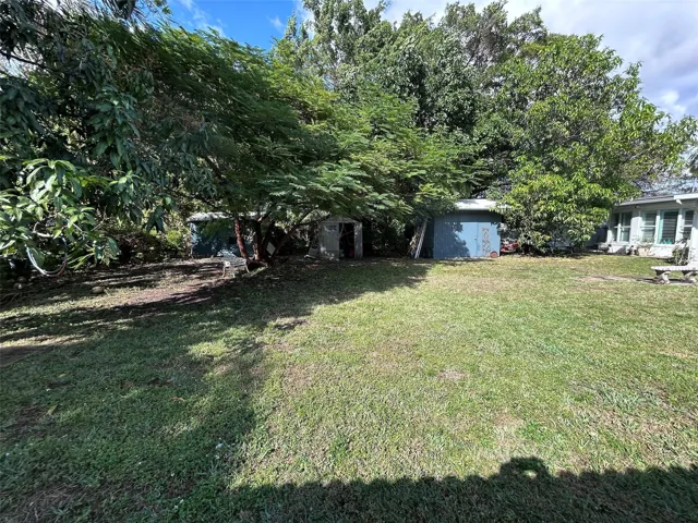 BACKYARD 1