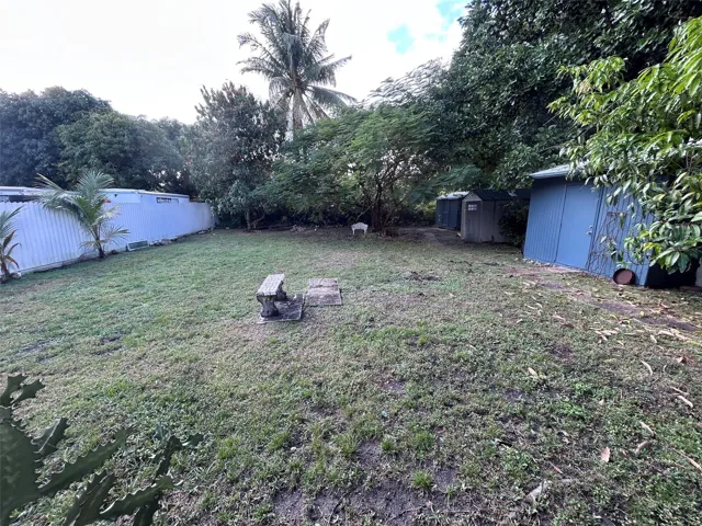 BACKYARD 4