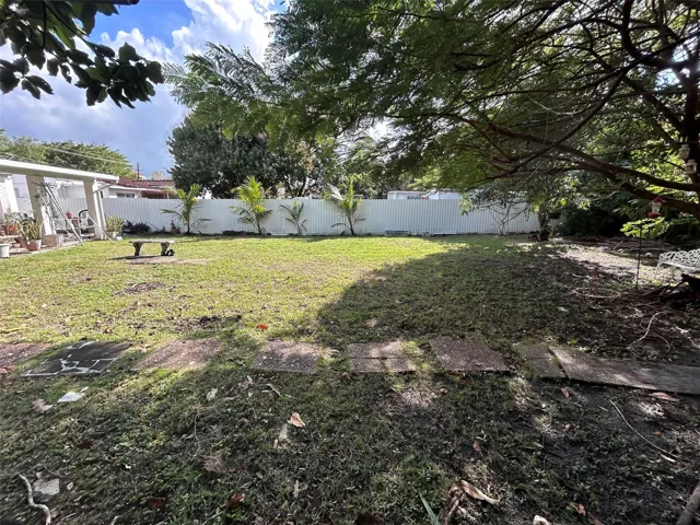 BACKYARD 3