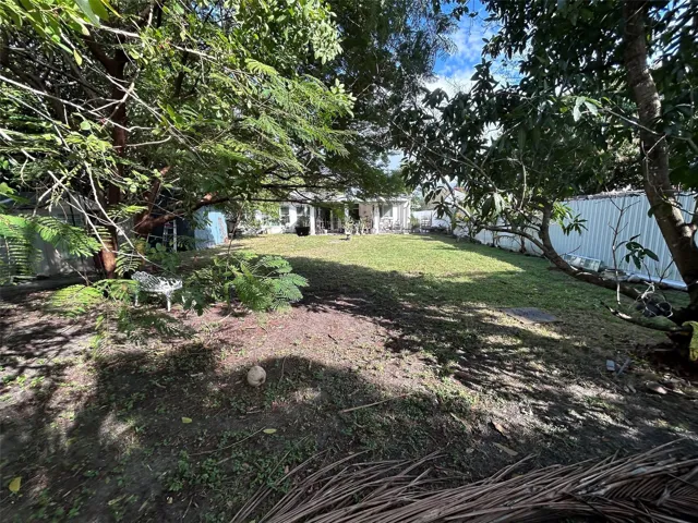 BACKYARD 2
