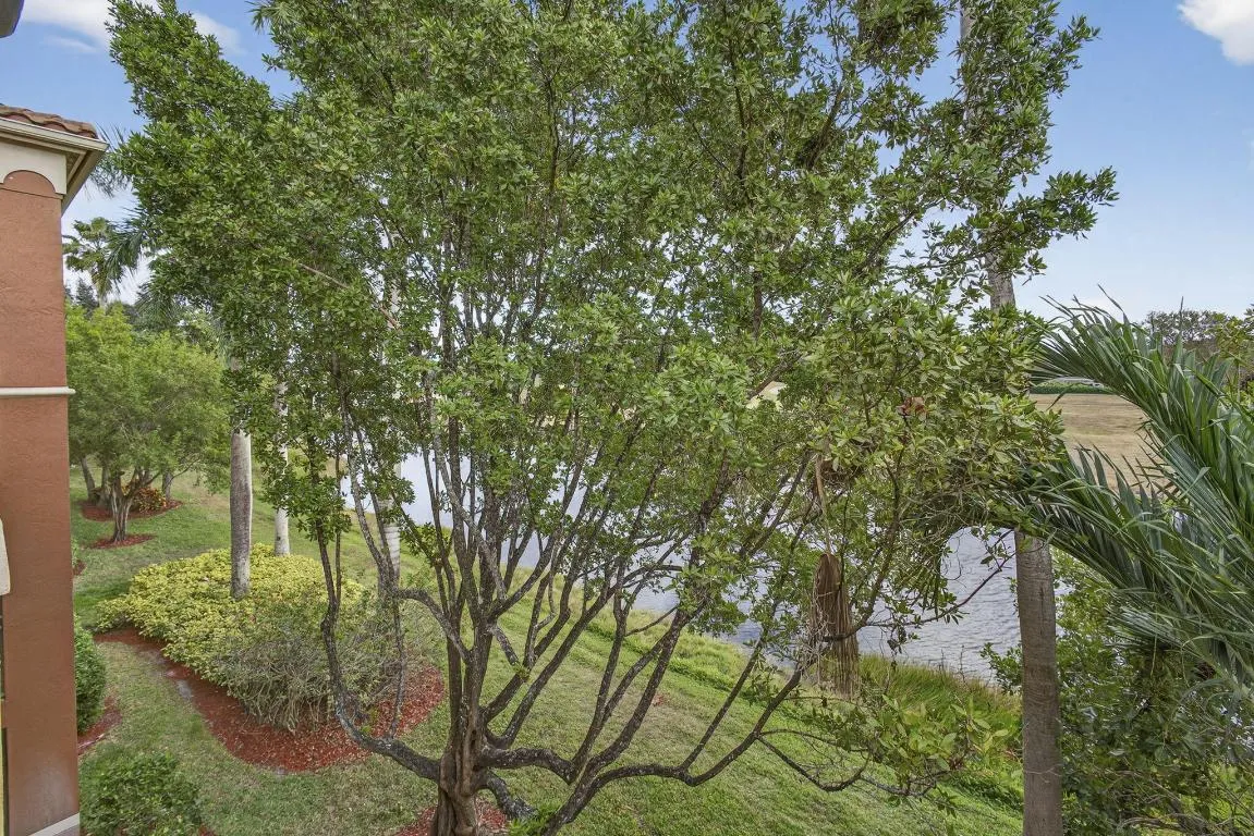 23-web-or-mls-BS1A5269