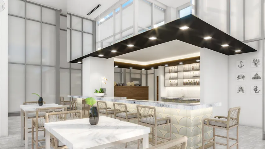 Developer Rendering